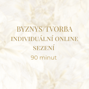 Individuální sezení BYZNYS 90 minut