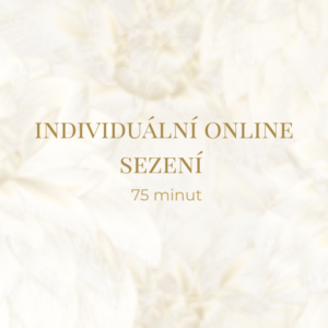 Individuální online sezení- 75 minut