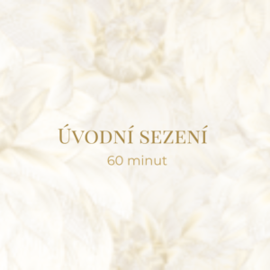Úvodní/seznamovací sezení – 60 minut, on-line